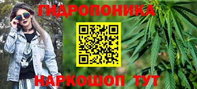 гашик Лесосибирск