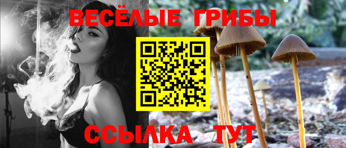 Псилоцибиновые грибы MAGIC MUSHROOMS Янаул